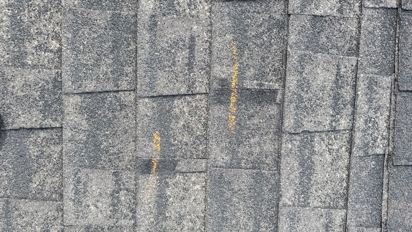 Old grey shingles with lifted tabs