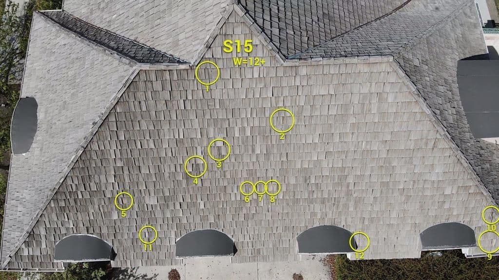 Slope S15 with 12 damaged shakes circled