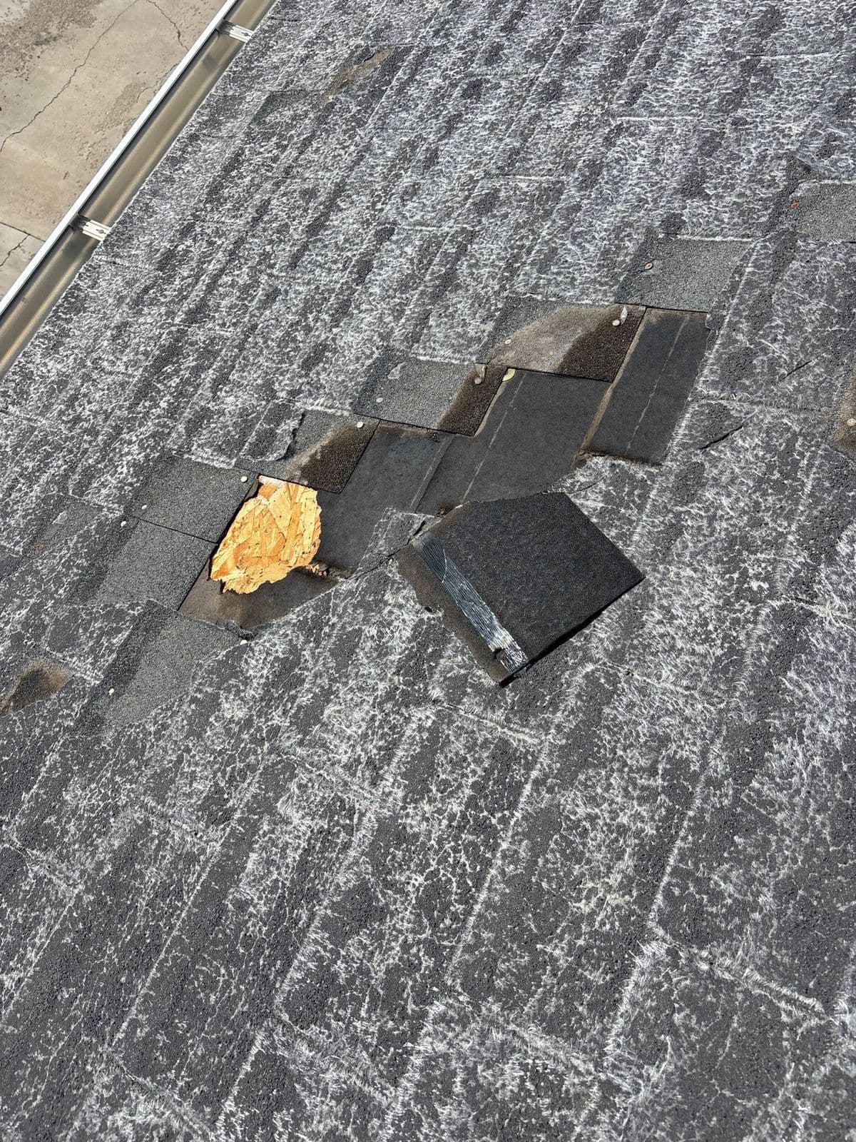 A torn shingle with exposed mat