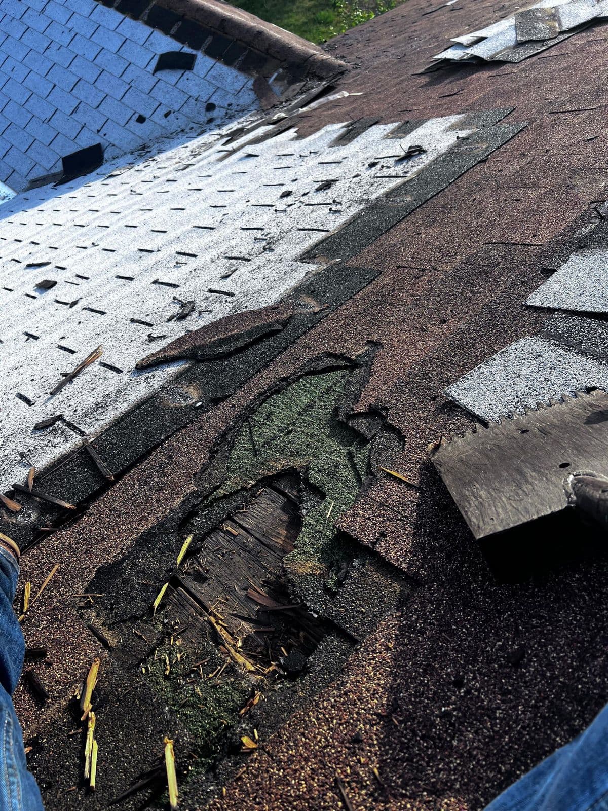 Two layers of old shingles torn back